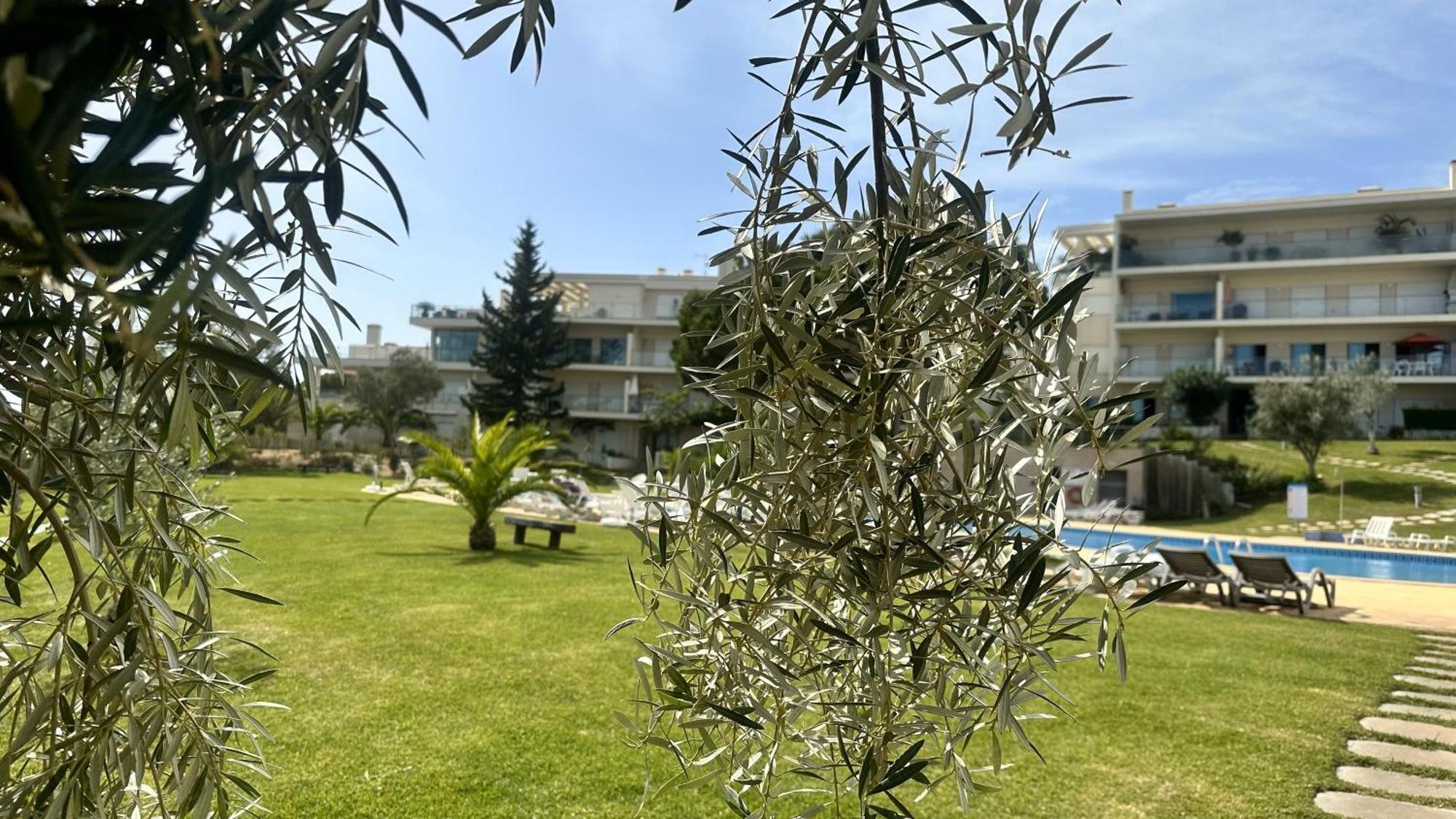 Charmant Appartement A 1Km De La Plage, Avec Piscine A Albufeira Zewnętrze zdjęcie